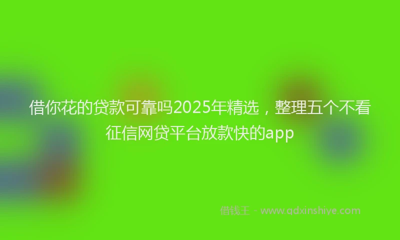 借你花的贷款可靠吗2025年精选，整理五个不看征信网贷平台放款快的app