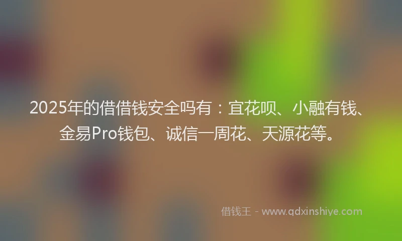 2025年的借借钱安全吗有：宜花呗、小融有钱、金易Pro钱包、诚信一周花、天源花等。