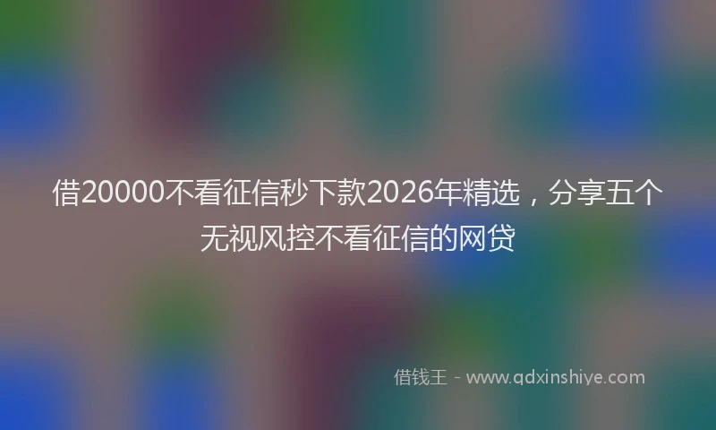 借20000不看征信秒下款2026年精选，分享五个无视风控不看征信的网贷
