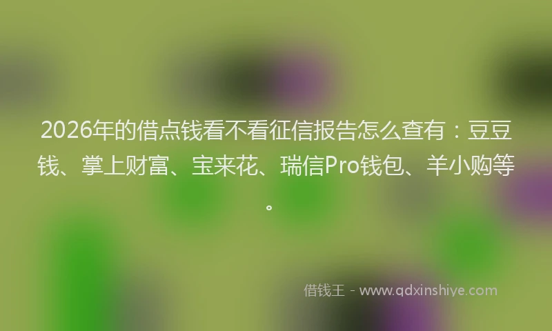 2026年的借点钱看不看征信报告怎么查有:豆豆钱、掌上财富、宝来花、瑞信Pro钱包、羊小购等。