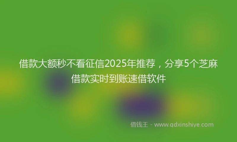借款大额秒不看征信2025年推荐，分享5个芝麻借款实时到账速借软件