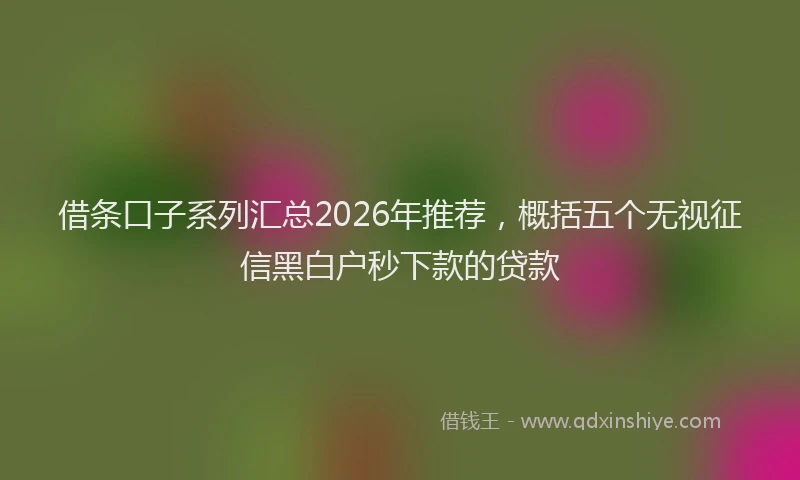 借条口子系列汇总2026年推荐，概括五个无视征信黑白户秒下款的贷款
