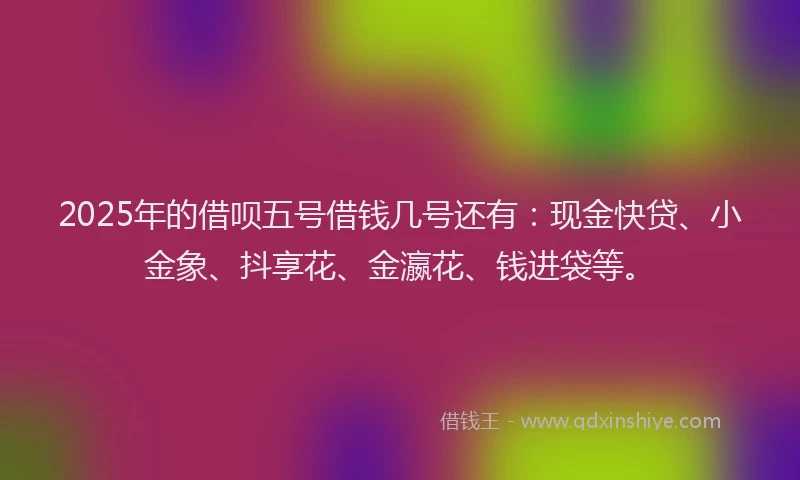 2025年的借呗五号借钱几号还有：现金快贷、小金象、抖享花、金瀛花、钱进袋等。