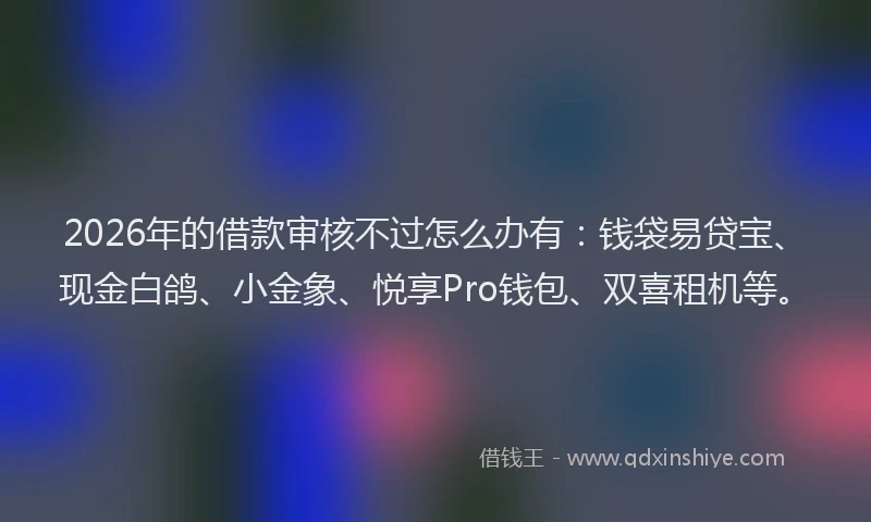 2026年的借款审核不过怎么办有：钱袋易贷宝、现金白鸽、小金象、悦享Pro钱包、双喜租机等。