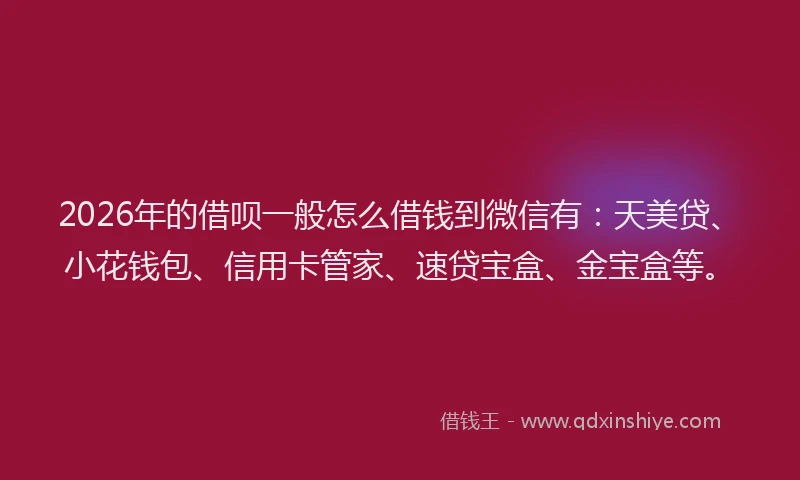 2026年的借呗一般怎么借钱到微信有：天美贷、小花钱包、信用卡管家、速贷宝盒、金宝盒等。