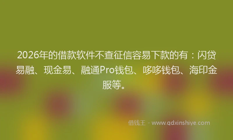 2026年的借款软件不查征信容易下款的有：闪贷易融、现金易、融通Pro钱包、哆哆钱包、海印金服等。