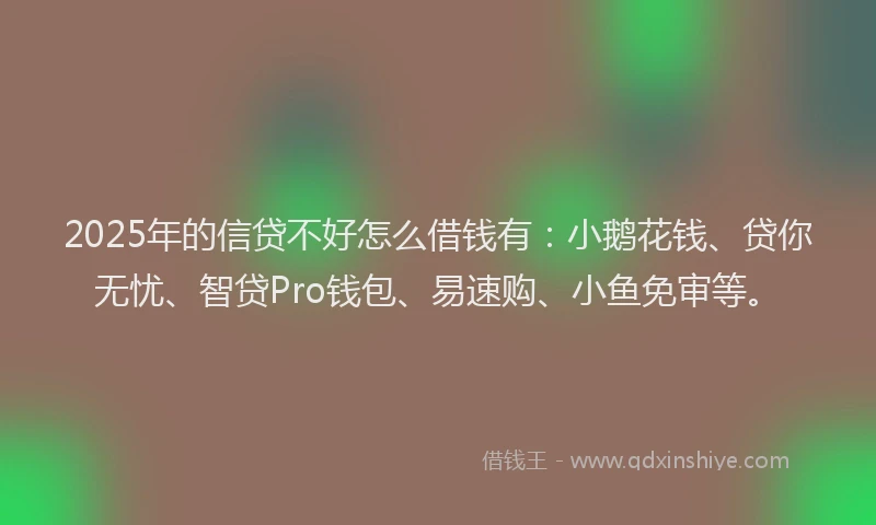 2025年的信贷不好怎么借钱有：小鹅花钱、贷你无忧、智贷Pro钱包、易速购、小鱼免审等。