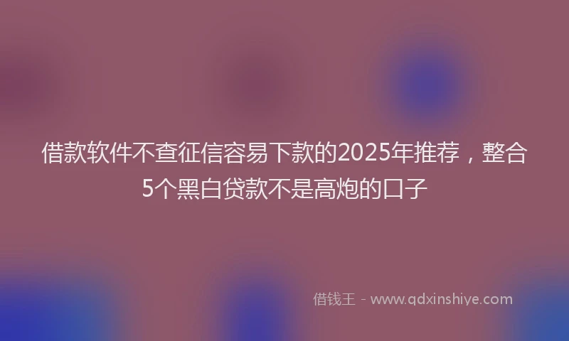 借款软件不查征信容易下款的2025年推荐，整合5个黑白贷款不是高炮的口子
