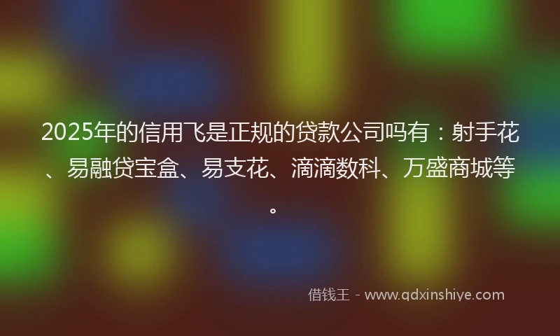 2025年的信用飞是正规的贷款公司吗有：射手花、易融贷宝盒、易支花、滴滴数科、万盛商城等。