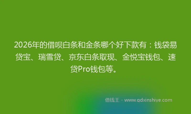 2026年的借呗白条和金条哪个好下款有：钱袋易贷宝、瑞雪贷、京东白条取现、金悦宝钱包、速贷Pro钱包等。