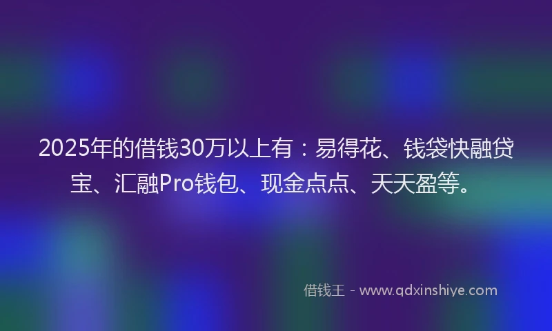 2025年的借钱30万以上有:易得花、钱袋快融贷宝、汇融Pro钱包、现金点点、天天盈等。