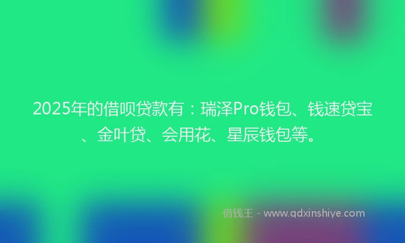 2025年的借呗贷款有：瑞泽Pro钱包、钱速贷宝、金叶贷、会用花、星辰钱包等。