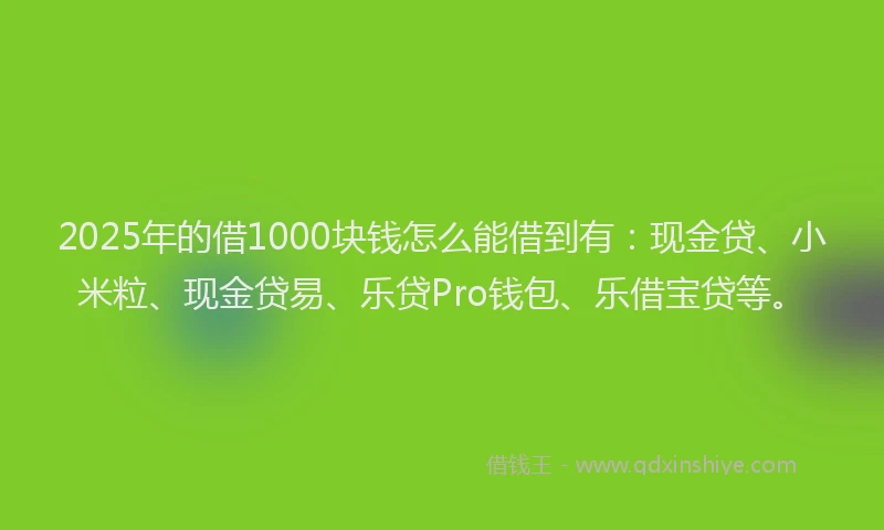 2025年的借1000块钱怎么能借到有:现金贷、小米粒、现金贷易、乐贷Pro钱包、乐借宝贷等。