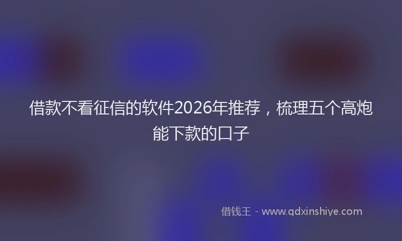 借款不看征信的软件2026年推荐，梳理五个高炮能下款的口子