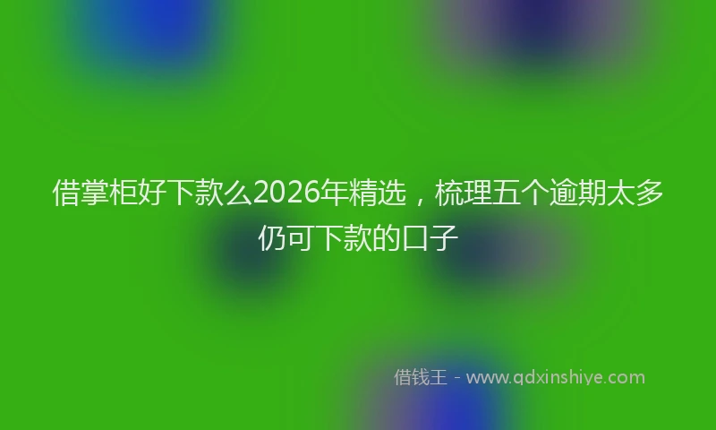 借掌柜好下款么2026年精选,梳理五个逾期太多仍可下款的口子