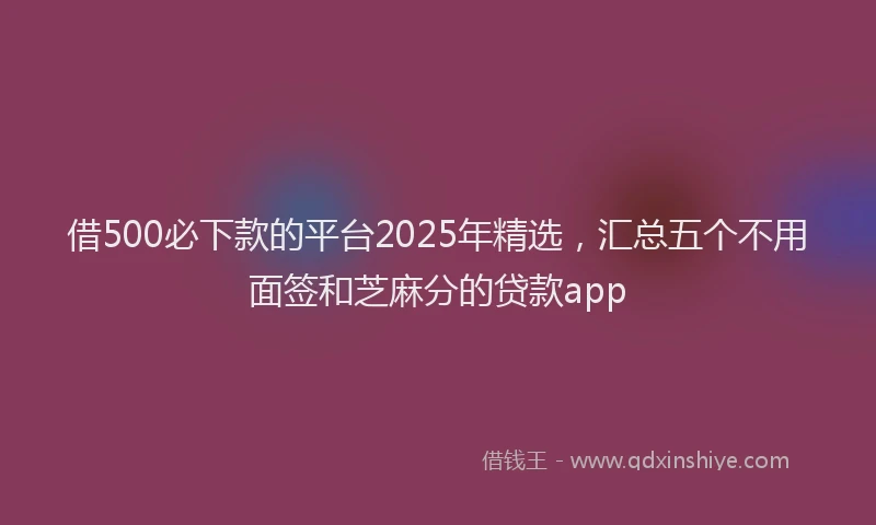 借500必下款的平台2025年精选,汇总五个不用面签和芝麻分的贷款app