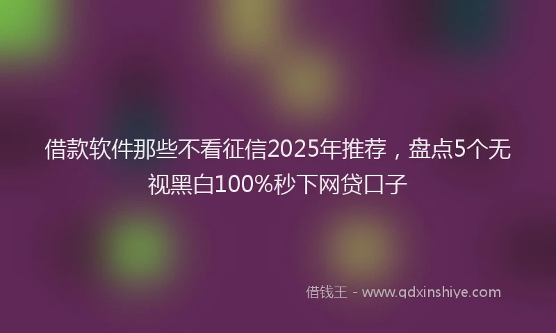 借款软件那些不看征信2025年推荐,盘点5个无视黑白100%秒下网贷口子