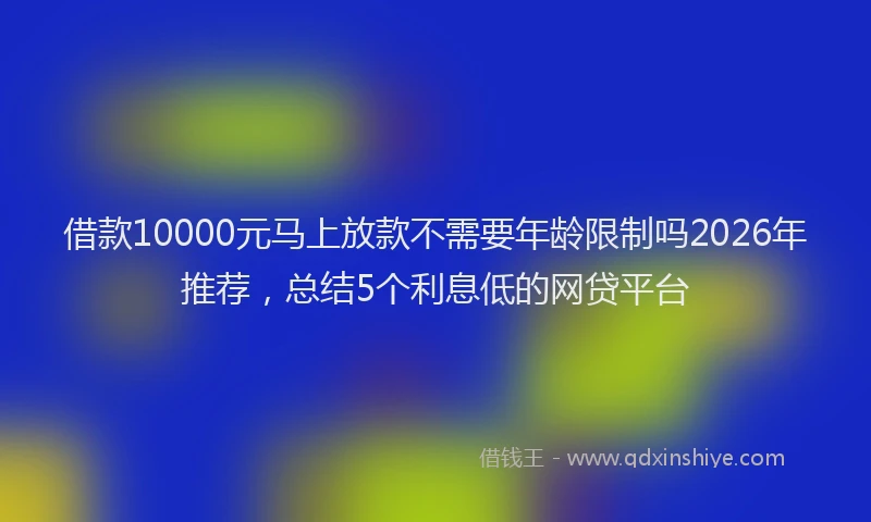 借款10000元马上放款不需要年龄限制吗2026年推荐,总结5个利息低的网贷平台