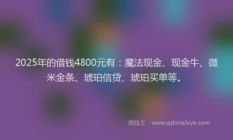 2025年的借钱4800元有：魔法现金、现金牛、微米金条、琥珀信贷、琥珀买单等。