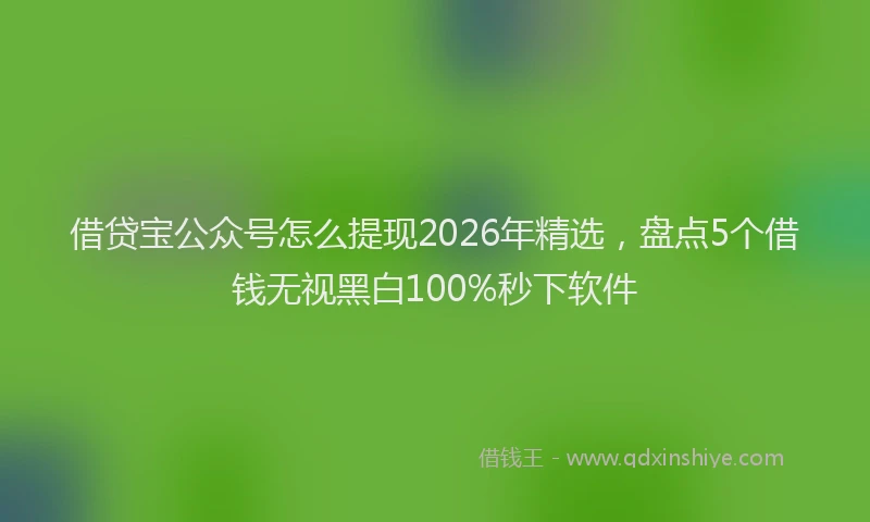 借贷宝公众号怎么提现2026年精选，盘点5个借钱无视黑白100%秒下软件