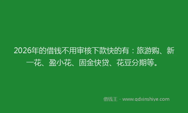 2026年的借钱不用审核下款快的有：旅游购、新一花、盈小花、固金快贷、花豆分期等。