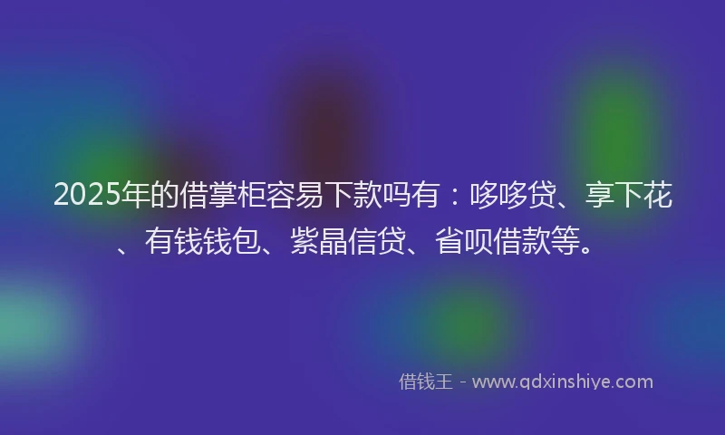 2025年的借掌柜容易下款吗有：哆哆贷、享下花、有钱钱包、紫晶信贷、省呗借款等。