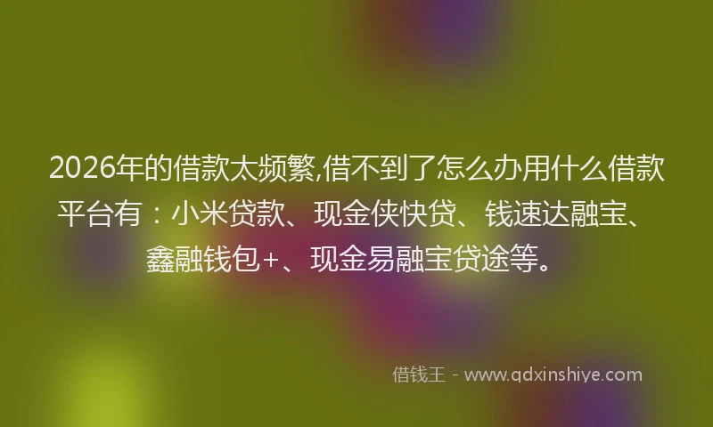 2026年的借款太频繁,借不到了怎么办用什么借款平台有：小米贷款、现金侠快贷、钱速达融宝、鑫融钱包+、现金易融宝贷途等。