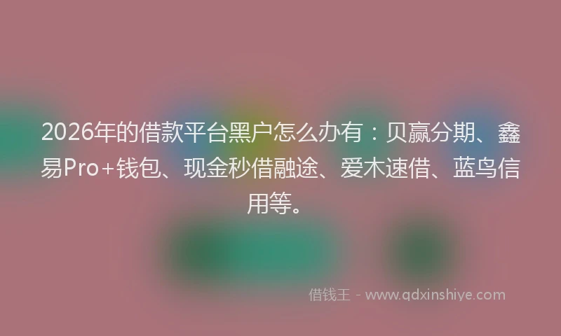 2026年的借款平台黑户怎么办有：贝赢分期、鑫易Pro+钱包、现金秒借融途、爱木速借、蓝鸟信用等。