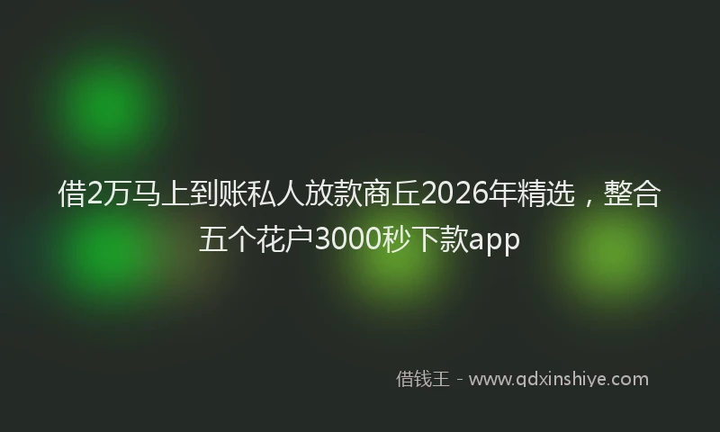 借2万马上到账私人放款商丘2026年精选,整合五个花户3000秒下款app