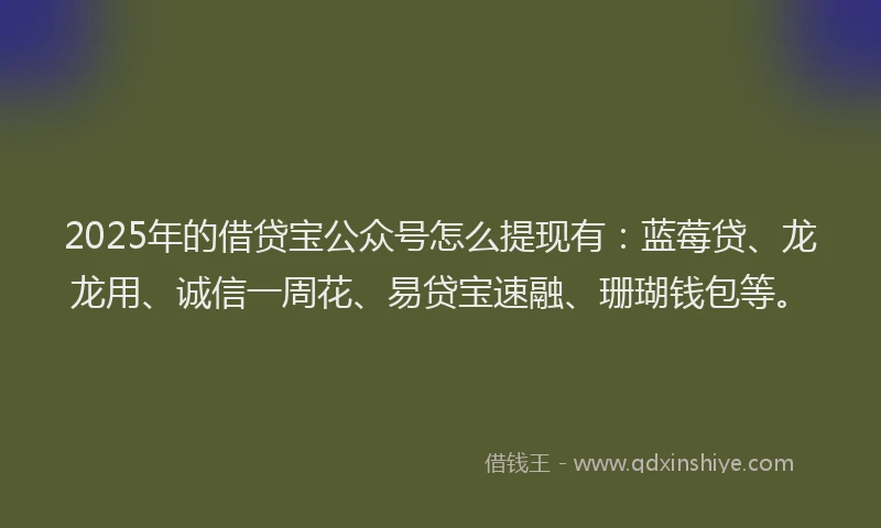 2025年的借贷宝公众号怎么提现有:蓝莓贷、龙龙用、诚信一周花、易贷宝速融、珊瑚钱包等。