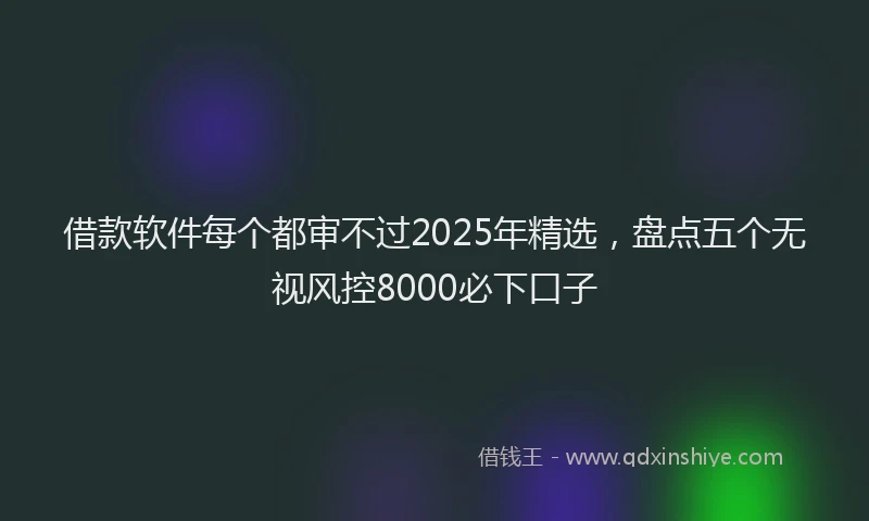 借款软件每个都审不过2025年精选,盘点五个无视风控8000必下口子