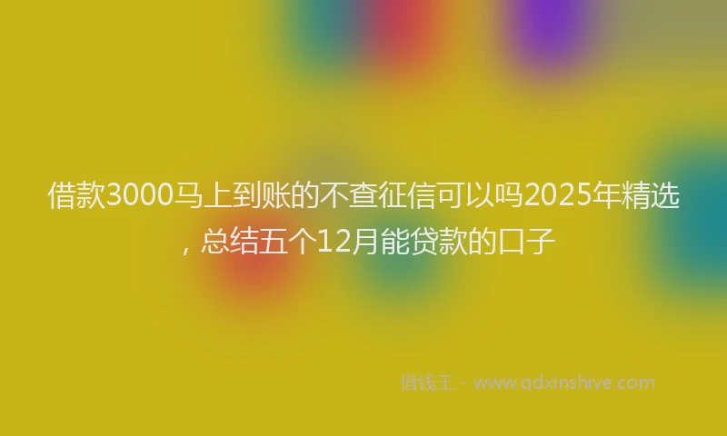 借款3000马上到账的不查征信可以吗2025年精选，总结五个12月能贷款的口子