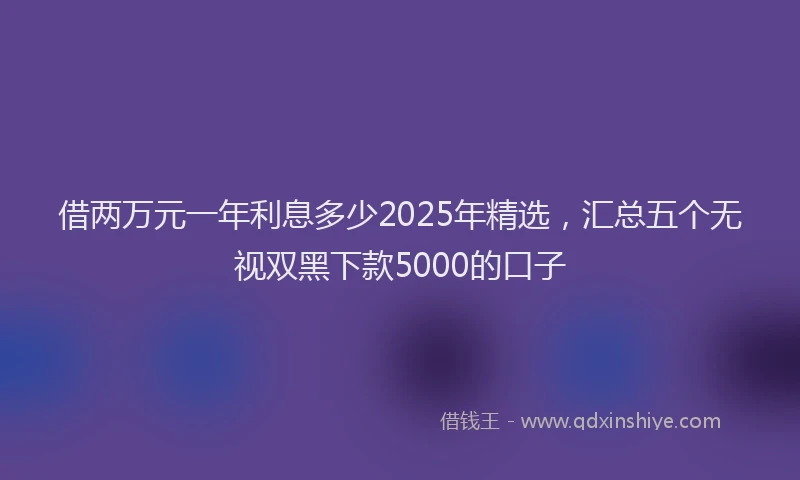 借两万元一年利息多少2025年精选，汇总五个无视双黑下款5000的口子
