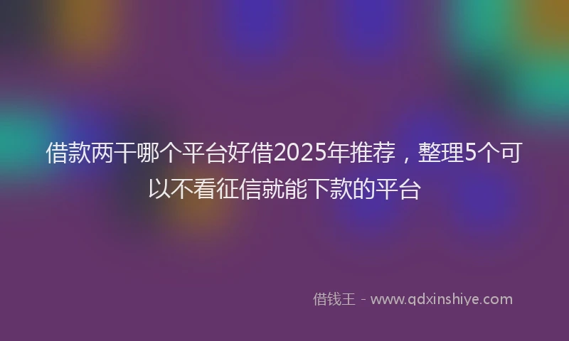 借款两干哪个平台好借2025年推荐，整理5个可以不看征信就能下款的平台