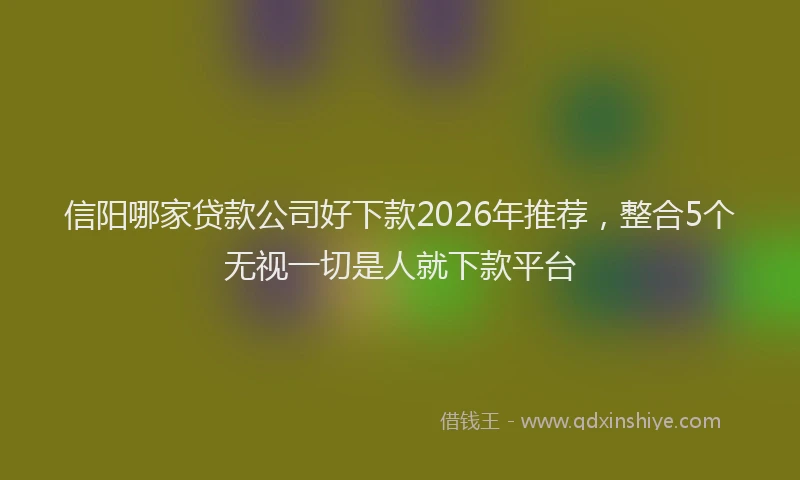 信阳哪家贷款公司好下款2026年推荐，整合5个无视一切是人就下款平台