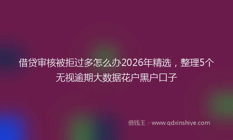 借贷审核被拒过多怎么办2026年精选，整理5个无视逾期大数据花户黑户口子