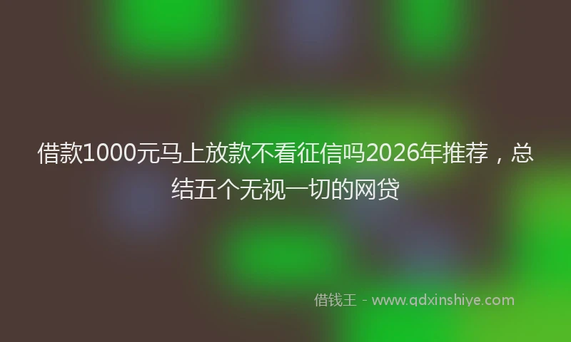 借款1000元马上放款不看征信吗2026年推荐,总结五个无视一切的网贷