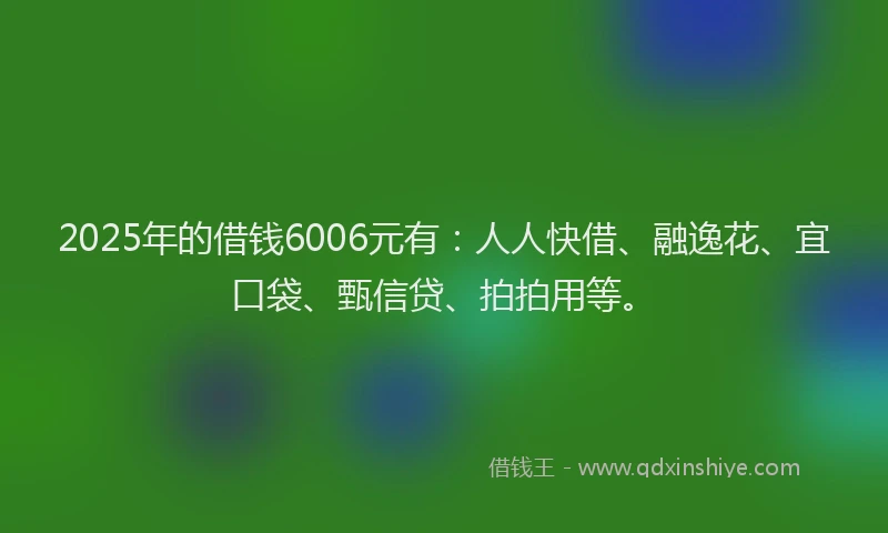 2025年的借钱6006元有：人人快借、融逸花、宜口袋、甄信贷、拍拍用等。