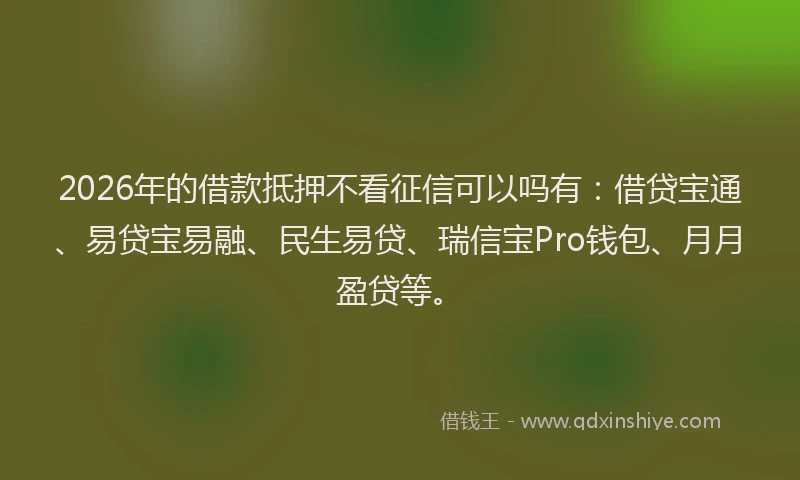2026年的借款抵押不看征信可以吗有:借贷宝通、易贷宝易融、民生易贷、瑞信宝Pro钱包、月月盈贷等。