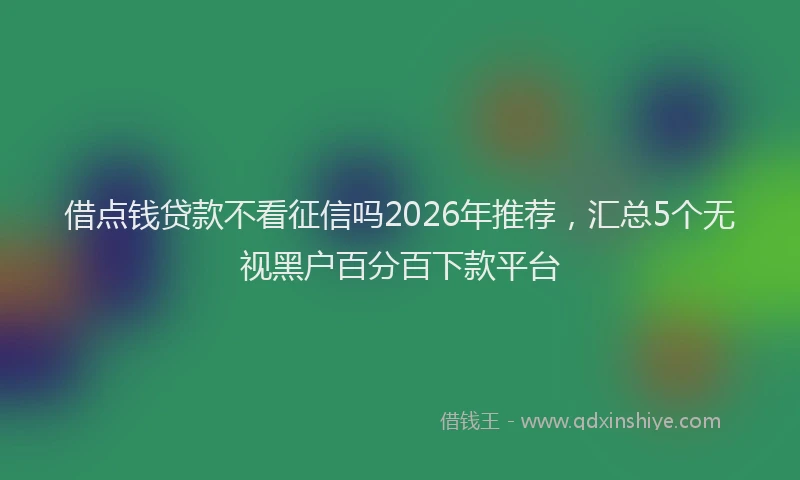 借点钱贷款不看征信吗2026年推荐,汇总5个无视黑户百分百下款平台