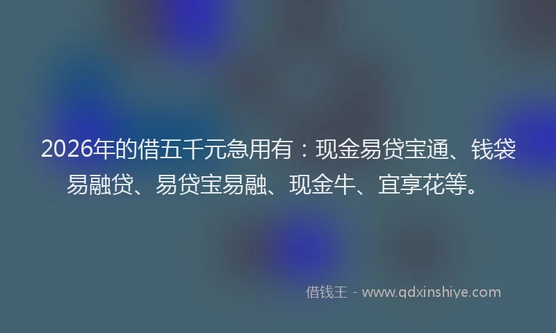 2026年的借五千元急用有:现金易贷宝通、钱袋易融贷、易贷宝易融、现金牛、宜享花等。