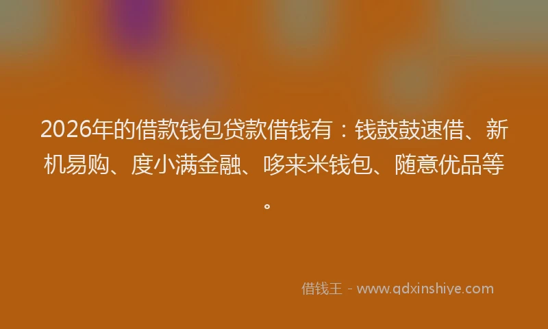 2026年的借款钱包贷款借钱有:钱鼓鼓速借、新机易购、度小满金融、哆来米钱包、随意优品等。