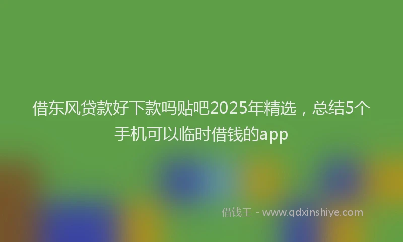 借东风贷款好下款吗贴吧2025年精选，总结5个手机可以临时借钱的app