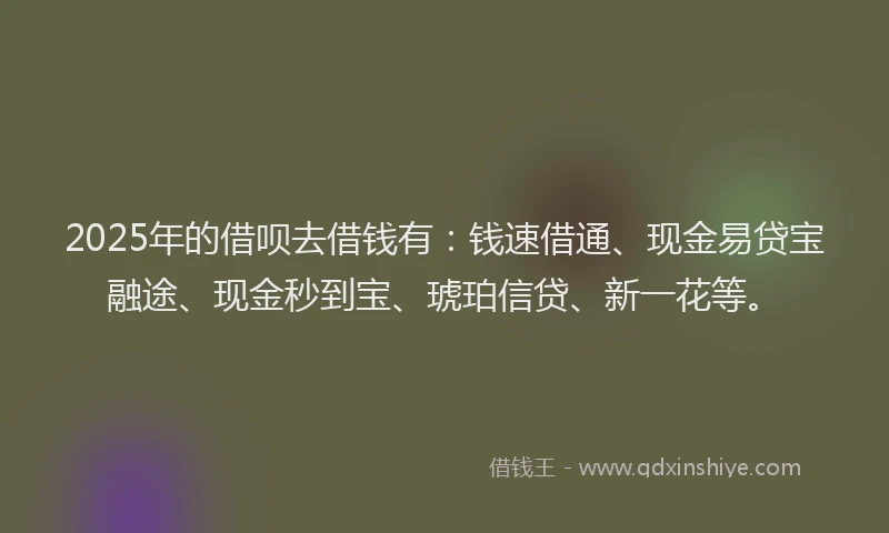 2025年的借呗去借钱有：钱速借通、现金易贷宝融途、现金秒到宝、琥珀信贷、新一花等。