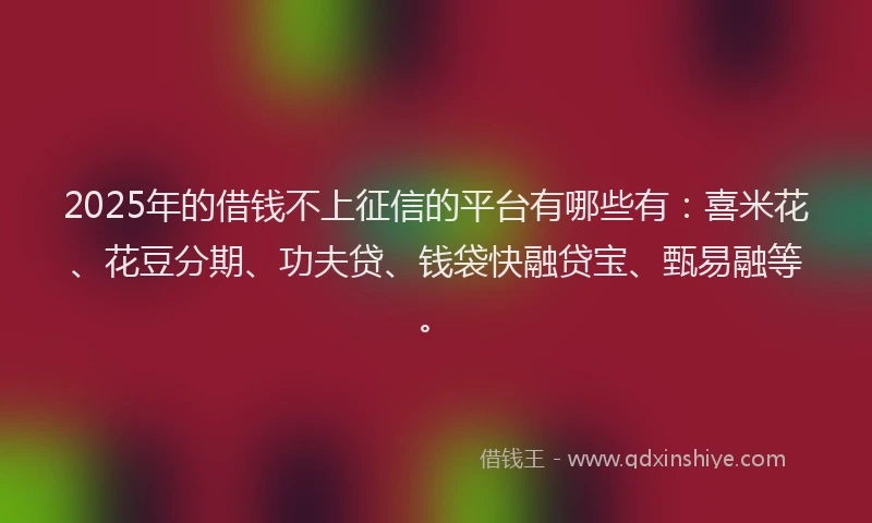 2025年的借钱不上征信的平台有哪些有：喜米花、花豆分期、功夫贷、钱袋快融贷宝、甄易融等。