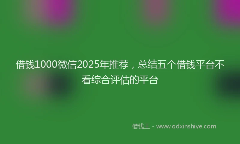 借钱1000微信2025年推荐，总结五个借钱平台不看综合评估的平台