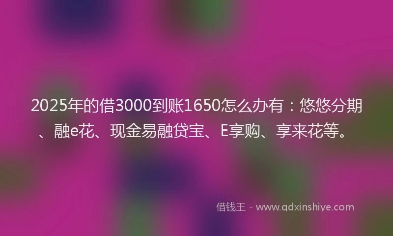 2025年的借3000到账1650怎么办有:悠悠分期、融e花、现金易融贷宝、E享购、享来花等。
