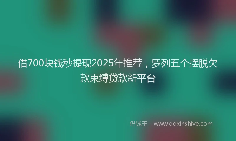 借700块钱秒提现2025年推荐，罗列五个摆脱欠款束缚贷款新平台