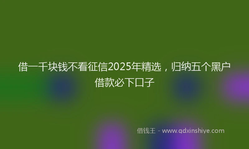 借一千块钱不看征信2025年精选,归纳五个黑户借款必下口子