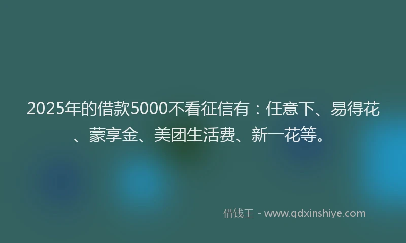 2025年的借款5000不看征信有：任意下、易得花、蒙享金、美团生活费、新一花等。